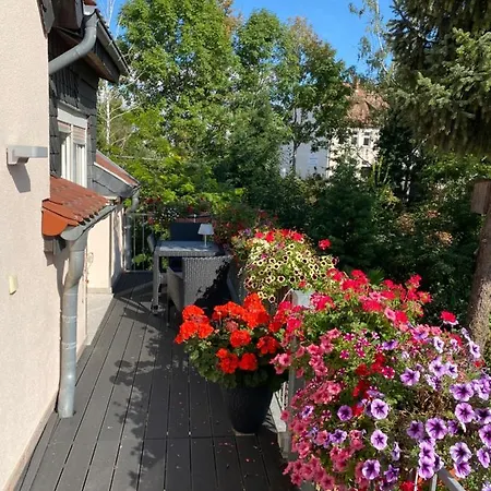 Mueller Stendal