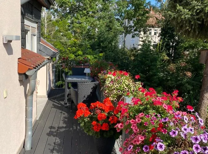 Mueller シュテンダール