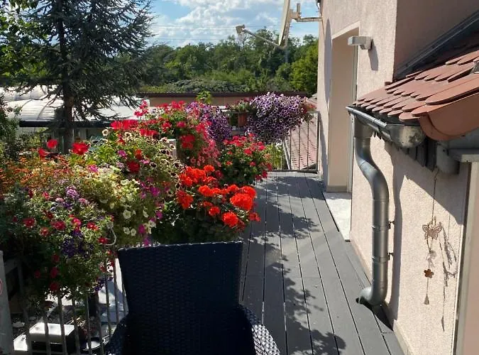 Mueller * シュテンダール