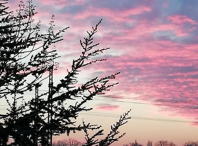 Mueller アパート *